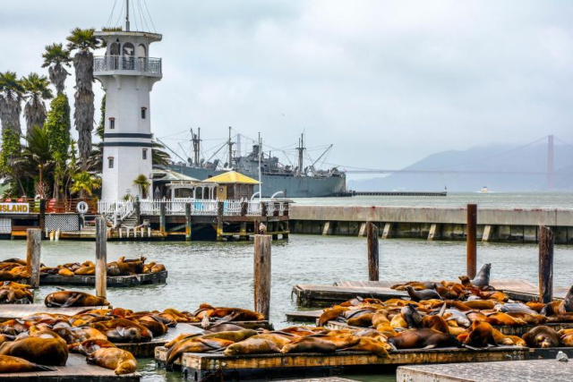 
USA nyugati parti körutazás magyar nyelvű idegenvezetéssel
