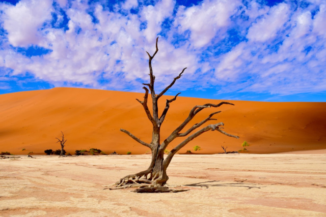 Namíbia varázsa - sivatagok, vadon és ősi himba kultúrák nyomában