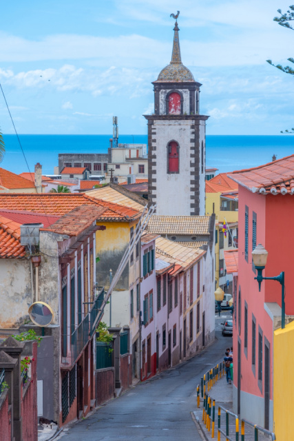 Madeira mesés kertjei