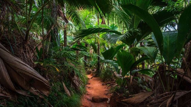 
SEYCHELLES - AZ INDIAI-ÓCEÁN ÁLOMSZIGETEI
