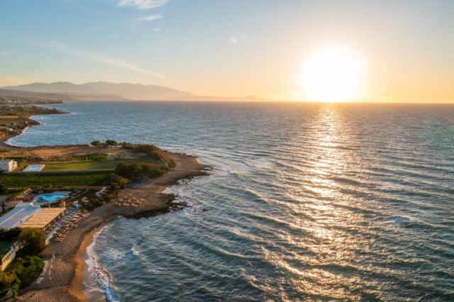 
Dias by Azul Collection
