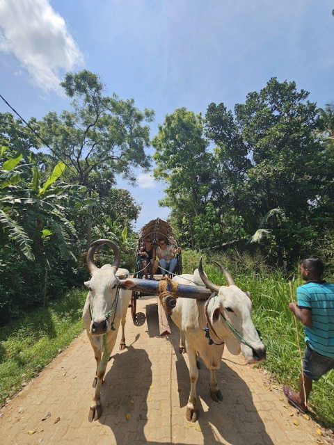 
Körutazás Srí Lankán, pihenéssel a Maldív-szigeteken - csoportos körutazás
