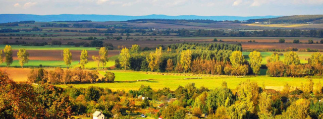 
1000 ART - Gyula és Geszt másképp
