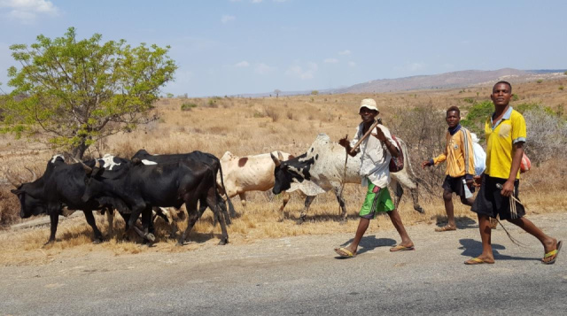 
Nyaralás Madagaszkáron
