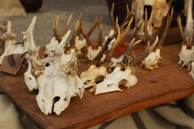 
SZATMÁR-BEREG GYÖNGYSZEMEI
