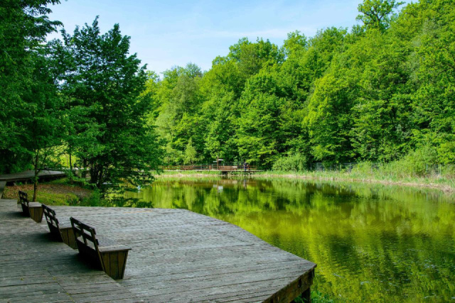 
JÁRATLAN UTAKON SZÉKELYFÖLDÖN
