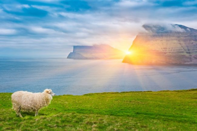 Csoportos utazás a Feröer szigetekre magyar
idegenvezetéssel 2026.08.19-23.