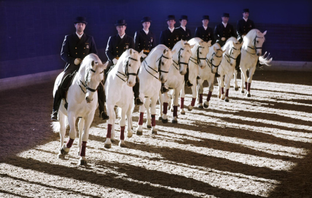 
Wellness húsvét a Szlovén tengerparton trieszti kirándulással
