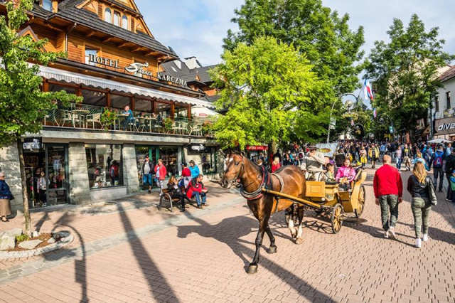 
Barangolások Zakopanéban és TÁTRAI KRÓKUSZ virágzás
