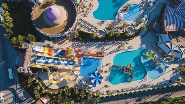 
Kamelya Collection Selin
