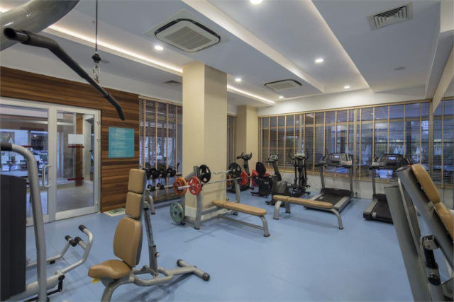 
Trendy Verbena Beach
