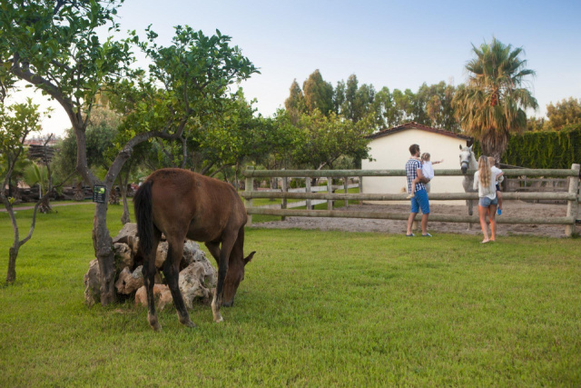 
Club Hotel Turan Prince World
