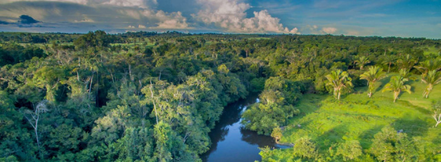 
Brazília vadvilága - 4* hotelek és egyszerű eco-lodge-ok
