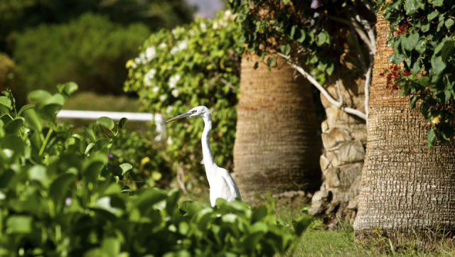 
Brayka Bay Resort Marsa Alam (Ex. Zee Brayka)
