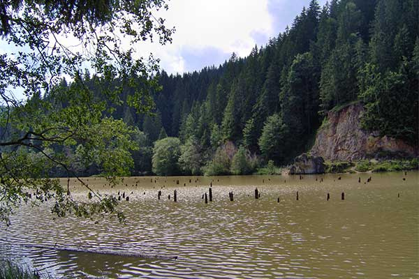 
Pünkösdi búcsú Csíksomlyón autóbusszal
