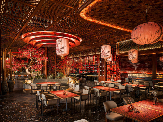 Regnum The Crown*****