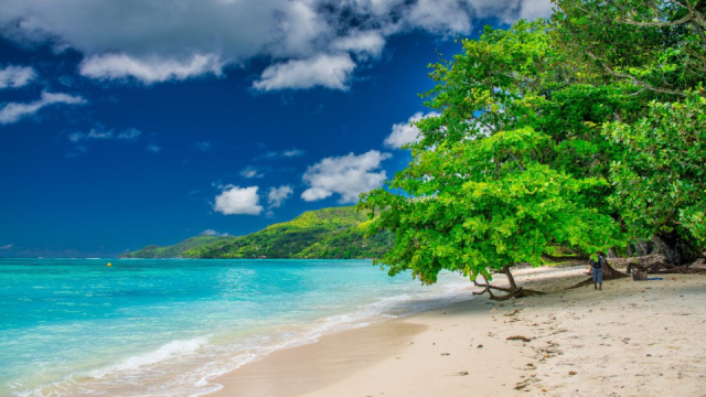 
SZILVESZTER A SEYCHELLES-SZIGETEKEN
