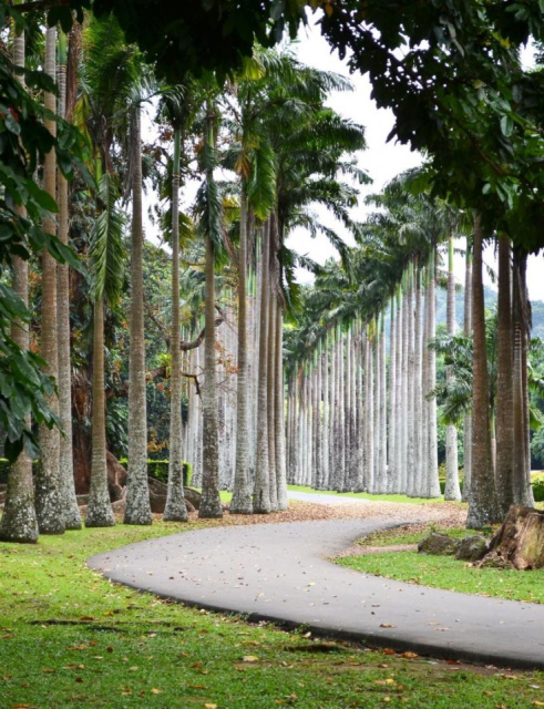 
Srí Lanka körutazás Maldív-szigeteki pihenéssel, dubaji látogatással az őszi szünetben
