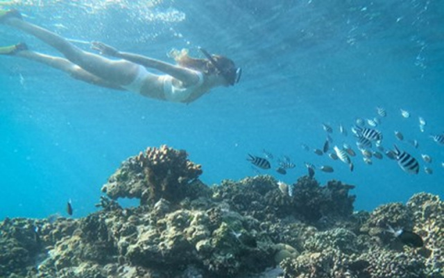 
Mauritius / Coin de Mire Attitude Hotel***sup.
