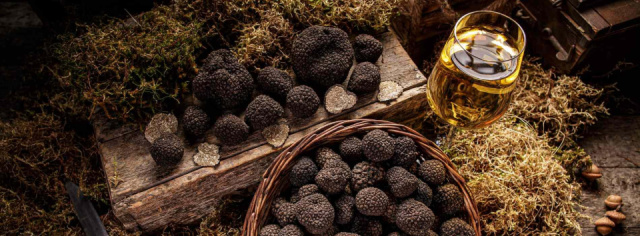 
Az olasz életérzés ízei - Toszkána
