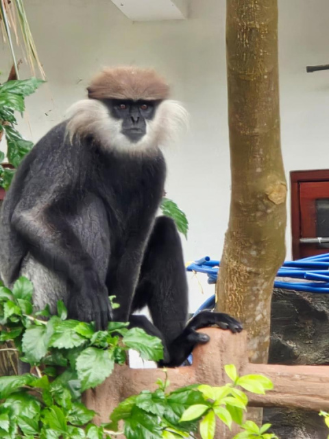 
Szilveszter Srí Lankán – all inclusive pihenés a tengerparton, majd körutazás
