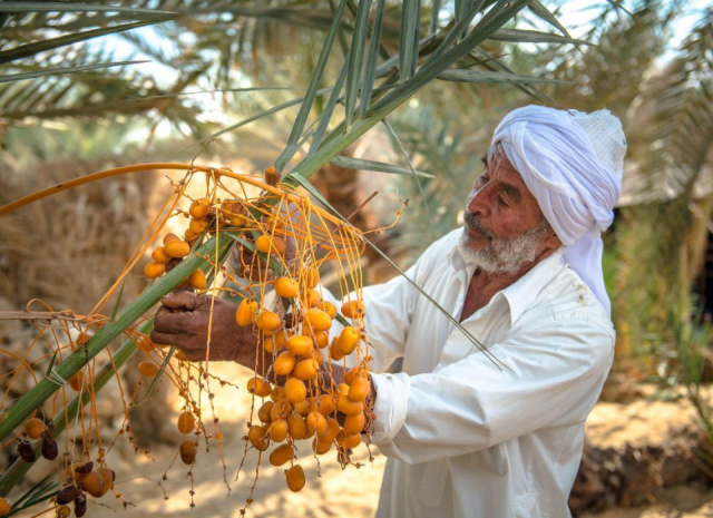 
Siwa, a lélek oázisa
