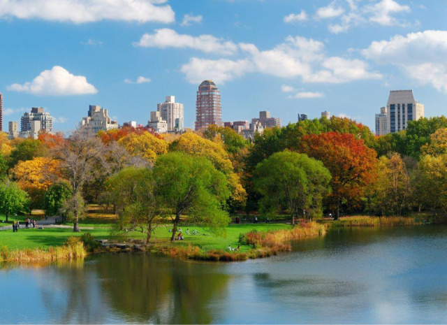 
New York City haladóknak
