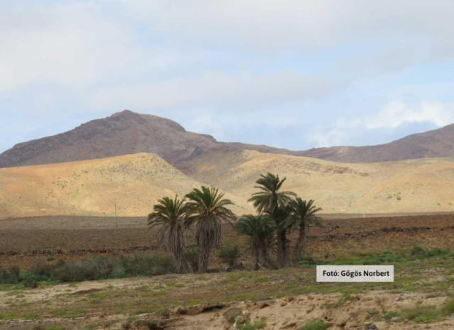 
Zöld-foki Köztársaság - Cabo Verde kreol karnevál
