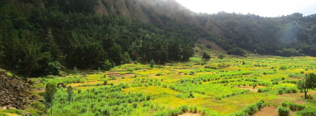
Zöld-foki szigetek - Szilveszter a trópusokon
