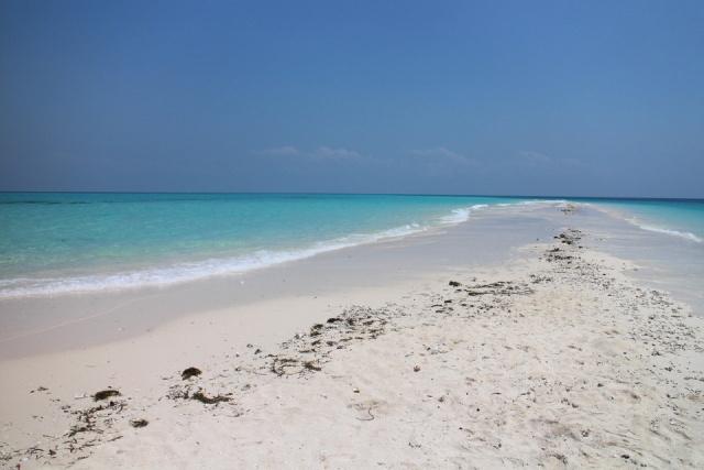 
Tanzánia-Zanzibár: Big five safari és tengerparti pihenés
