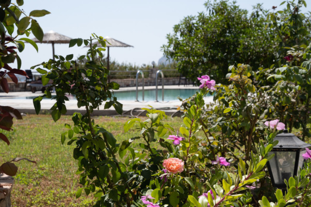 
Gardenia Hotel
