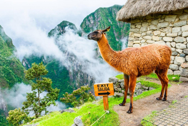 
Titokzatos Peru – Machu Picchu és az Andok világa - 2026. október
