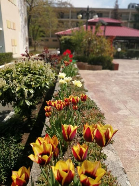 
Bulgária busszal 2026 10 nap/ 7 éj -Napospart - Trakia Garden
