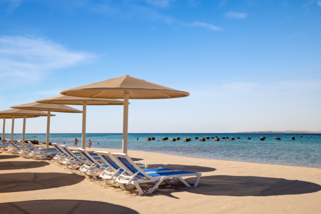 
SRNTY SAHL HASHEESH
