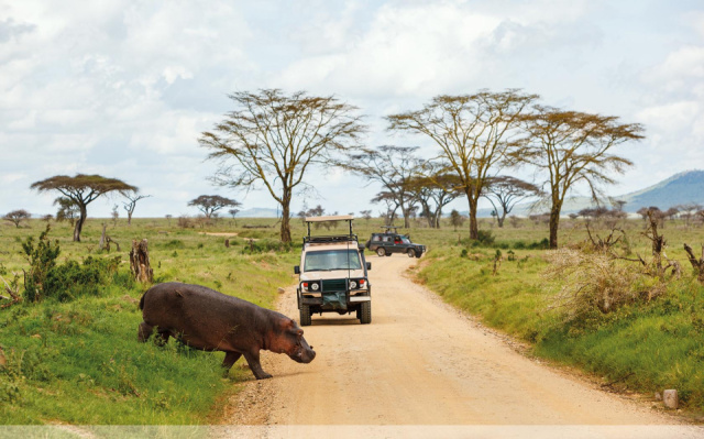 
Serengeti szafari program pihenéssel Zanzibár szigetén - 2027. március
