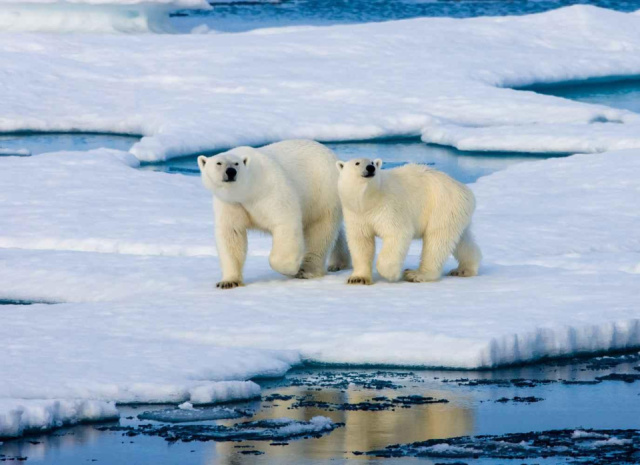 
Svalbard - A jégvilág (Spitzbergák)
