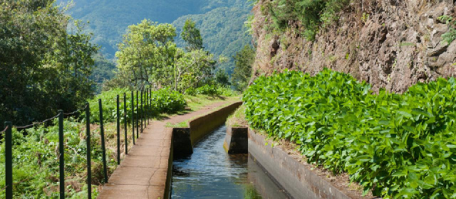
MADEIRA
