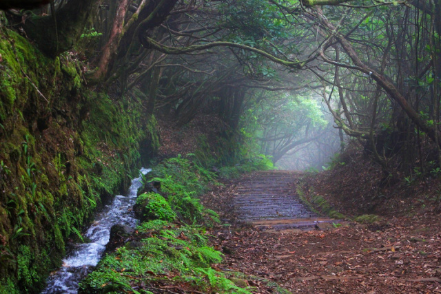 
Húsvéti barangolás Madeira szigetén - 2027. március
