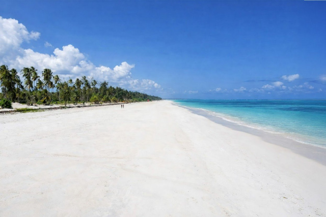 
Anaya Zanzibar

