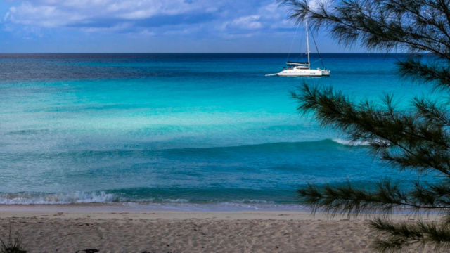 
MIAMI BEACH VARÁZSA
