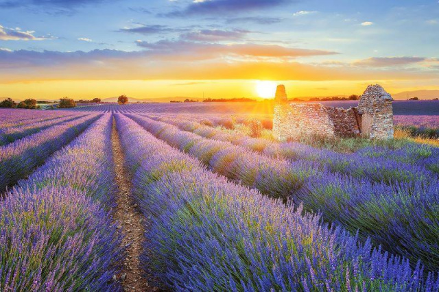 
Romantikus Provence
