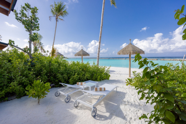 
Joy Island
