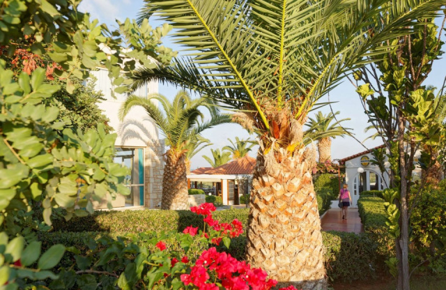 
Cretan Garden
