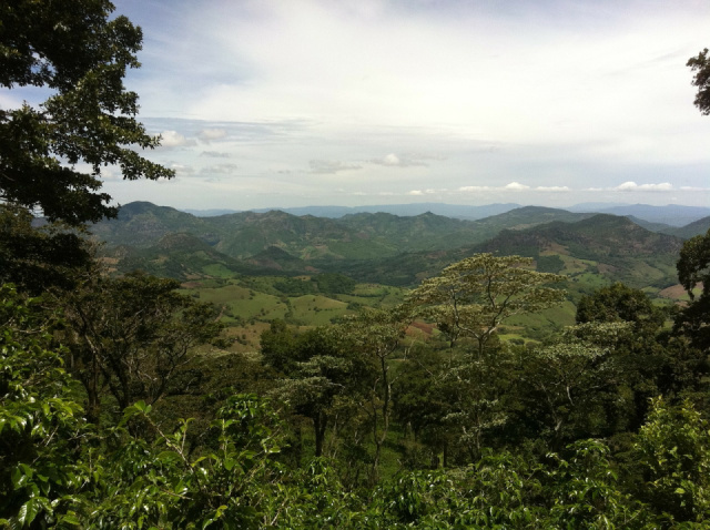 
Közép-Amerika hét országa: Panama-Costa Rica-Nicaragua-El Salvador-Honduras-Belize-Guatemala
