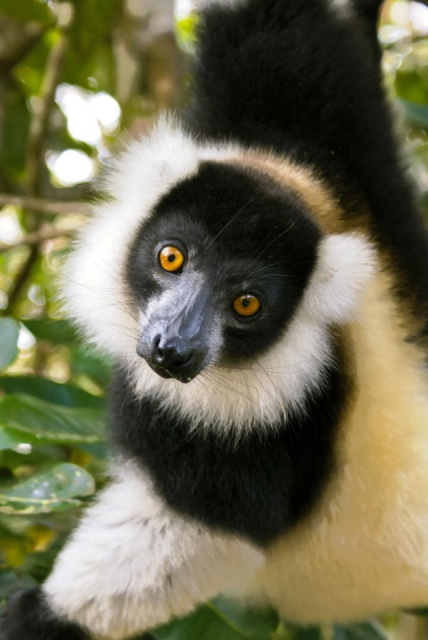 
Madagaszkári kalandok pihenéssel a Seychelle-szigeteken - 2027. április
