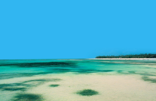 
Zanzibár és vad Afrika, Hotel Dongwe Club Vacanze
