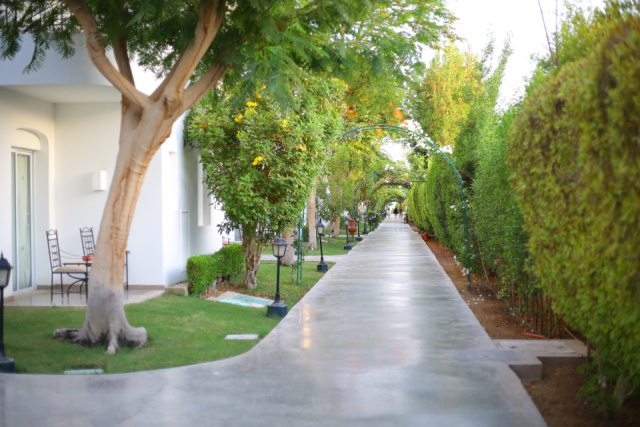 
Jaz Fanara Resort & Residence

