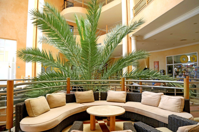 
Hotel Eden Stars
