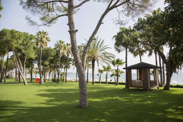 
Acanthus & Cennet Barut Collection
