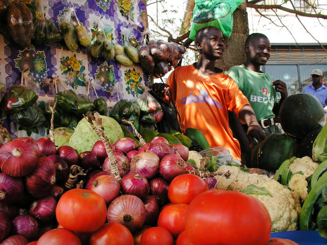 
Uganda-Ruanda A hegyi gorillák nyomában
